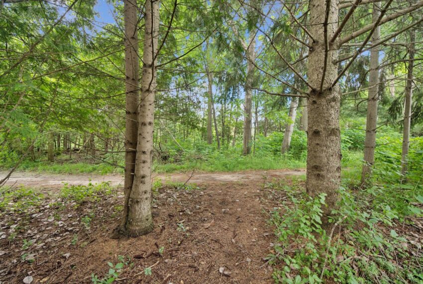 45-Brookhaven Ct 045